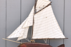 Sail Fish