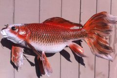 cropped-taxidermy3-1