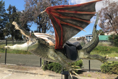 gator dragon1