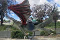 gator dragon2
